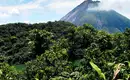 Costa Rica - Entdeckungsreise zu unberührten Nationalparks und lebendiger Kultur