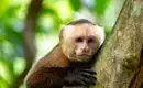 Costa Rica, Nicaragua & Panama gemütlich erwandern