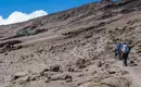 Kilimanjaro Lemosho-Route (Northern Circuit) - individuell