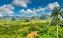 Panorama im Viñales-Tal, Kuba Üppige grüne Landschaft im Viñales-Tal mit Kalksteinhügeln und Palmen.