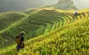 Die Highlights von Vietnam und Kambodscha erleben