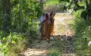 Indiens Süden: Keralas Naturschönheiten entdecken