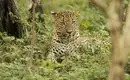 Magisches Sri Lanka - Eine Reise durch Geschichte, Natur und Kultur