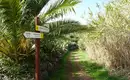 Individuelle Wanderwoche Teneriffa