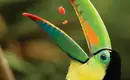 Costa Rica für Singles und Alleinreisende