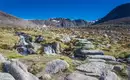 Wanderung im Cairngorms National Park - hier führt uns der Weg über angelegte Stufen Steiniger Pfad im Cairngorms National Park, Schottland, mit Fluss und Bergen im Hintergrund.