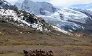 Peru Trekking um den Apu Asangate (5.100 HM)