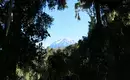 Kilimanjaro: Machame-Route (Southern Cicuit)