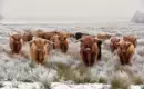 Hogmanay - Jahreswechsel in den schottischen Highlands
