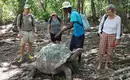 Riesenschildkröten auf Curieuse, da ist der Name Programm;-) Reisende beobachten eine Riesenschildkröte auf den Seychellen.