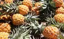 La Réunion: Ein Sinnesrausch im Herzen des Indischen Ozeans