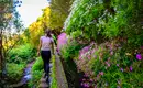 Madeiras Highlights erwandern – Bild 5