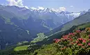 Stubaier Alpen Trekking