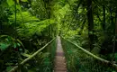 Costa Rica für Singles und Alleinreisende