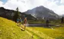 Der Lech - einen der letzten Wildflüsse gemütlich erwandern – Bild 4