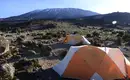 In Kleingruppen auf den Kilimanjaro: Lemosho-Route (Northern Circuit)  – Bild 2