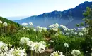 Madeira gemütlich erwandern – Bild 7