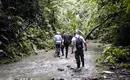 Auf unserer Wanderung durch Costa Ricas Regenwald Personen wandern durch flachen Bach im Regenwald von Costa Rica.