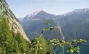 Naturparadies Berchtesgadener Alpen Atemberaubender Blick auf den Königssee, umgeben von den Berchtesgadener Alpen.