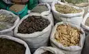 Marokko - Marrakesch und den Zauber der Sahara erwandern