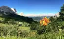 Dolomiten Höhenweg Nr. 2