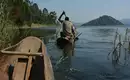 Uganda: Auf den Spuren der majestätischen Berggorillas