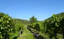 5-tägige individuelle Wanderungen Welterbesteig Wachau