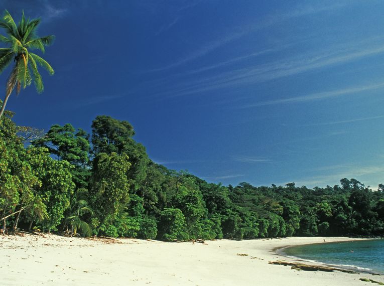 Karibikstrand im Cahuita Nationalpark – Wandern in Costa Rica zwischen Dschungel und türkisfarbenem Meer