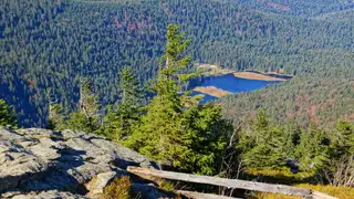 Die Highlights im Nationalpark Bayerischer Wald erwandern