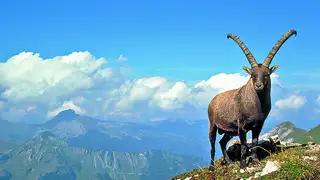 Unterwegs auf dem Heilbronner Höhenweg
