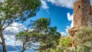 Die 5 schönsten Wanderungen auf Mallorca - Alpenstieg Bergtour Guide