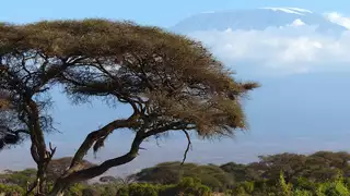 Kilimandscharo Besteigung – Vorbereitung, Tipps & Akklimatisation - Alpenstieg Bergtour Guide