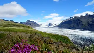 Island: Wo Naturkräfte und Legenden verschmelzen