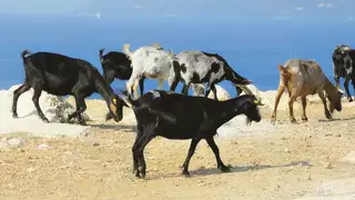 Beste Reisezeit Albanien – Wann ist die ideale Zeit zum Wandern? - Alpenstieg Bergtour Guide