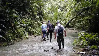 Wandern in Costa Rica – Tipps, Nationalparks und alles, was Sie wissen müssen - Alpenstieg Bergtour Guide
