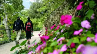 Meran gemütlich erwandern