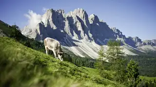 Wanderwoche Villnöss - Südtirol Dolomiten