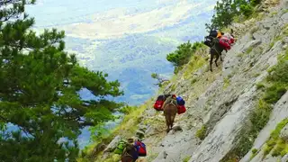 Albanische Alpen: Die schönsten Wanderungen im letzten großen Naturparadies Europas - Alpenstieg Bergtour Guide