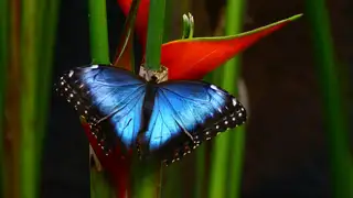 Costa Rica naturnah erwandern