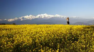 Nepal – Himalaya für Einsteiger