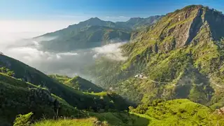 Sri Lankas Hochland – Wandern zwischen Teeplantagen, Berggipfeln und Nebelwäldern - Alpenstieg Bergtour Guide