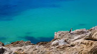 Garden Route Südafrika – die schönsten Wanderungen und Highlights entlang der Küste - Alpenstieg Bergtour Guide