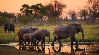 Die Highlights des südlichen Afrika erleben