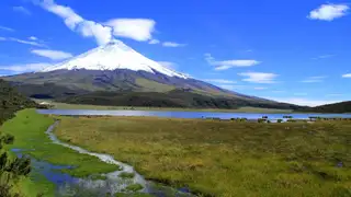 Ecuador entdecken: Von Vulkanen zum Amazonas-Regenwald, bis zu den Galápagos-Inseln