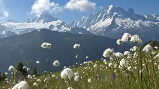 Tour du Mont Blanc - von Hütte zu Hütte mit Gepäcktransport