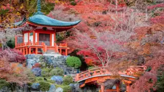 Japans Sehenswürdigkeiten – Tempel, Naturwunder und kulturelle Highlights - Alpenstieg Bergtour Guide