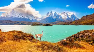 Beste Reisezeit für Patagonien – wann lohnt sich eine Trekkingreise? - Alpenstieg Bergtour Guide