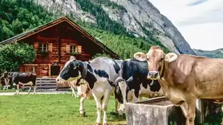 Alpenüberquerung für Anfänger – die richtige Tour finden - Alpenstieg Bergtour Guide