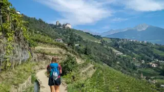 Individuelle Wanderreise Meraner Höhenweg Südseite