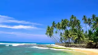 Beste Reisezeit Sri Lanka – Wann lohnt sich eine Reise zum Wandern? - Alpenstieg Bergtour Guide